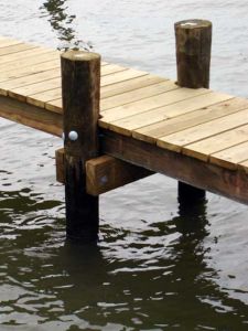 Wooden dock pilings