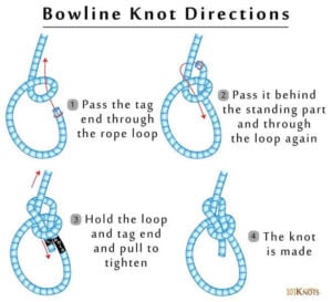graphic showing how to tie a bowline knot