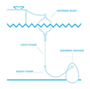 Mooring Vs. Docking Explained