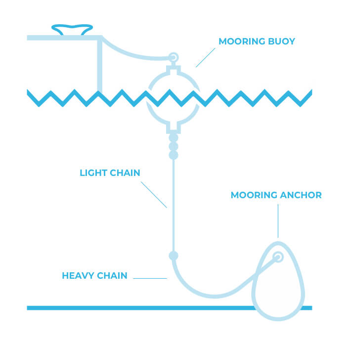 Mooring vs. Docking Explained