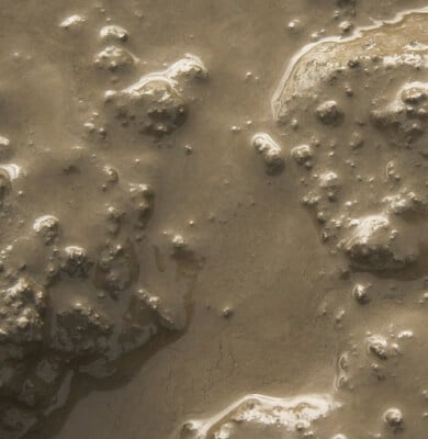 Image for choice number 2