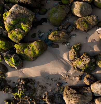 Image for choice number 4