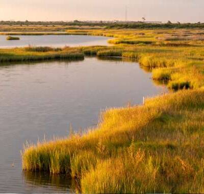 Image for choice number 3