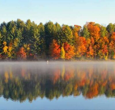 Image for choice number 1