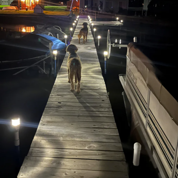 fwmdocksalumpolelight2